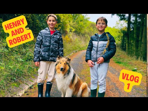 Видео: Генри и Роберт гуляют с собакой Джесси 🐶Приключение с длинношёрстным колли! Kids Vlog with Jessy🦮