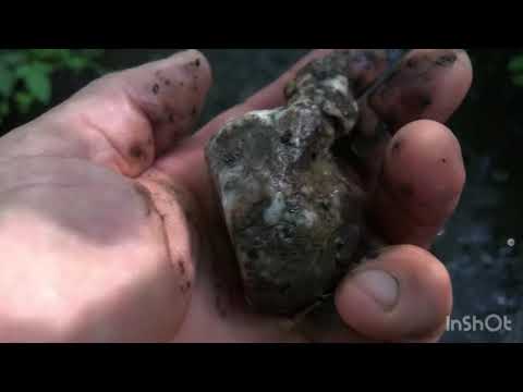 Видео: Четвертый день 