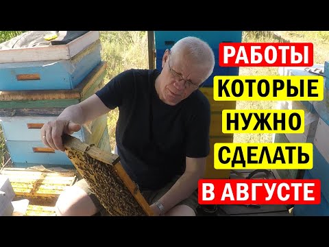 Видео: АВГУСТ на Пасеке. Зачем УБИРАТЬ МАГАЗИНЫ с ульев ПОСЛЕ Откачки меда?