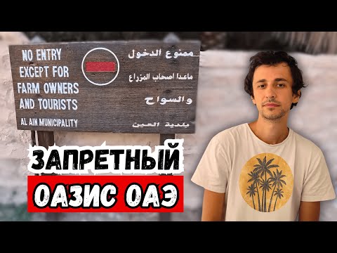 Видео: Оазис в пустыне ОАЭ: прогулка, которая удивила