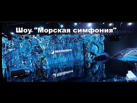 Видео: Шоу "Морская симфония" в Москвариуме