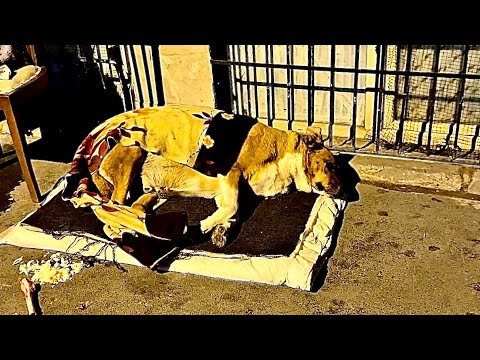 Видео: Мы вечером прилетаем в Стамбул и тоже находим НОЧНЫЕ ПРИКЛЮЧЕНИЯ)))