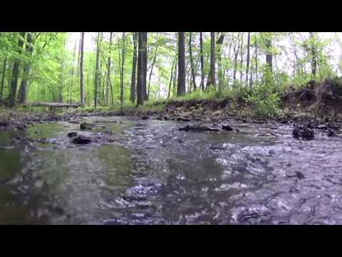 Видео: ИННА СУДАКОВА