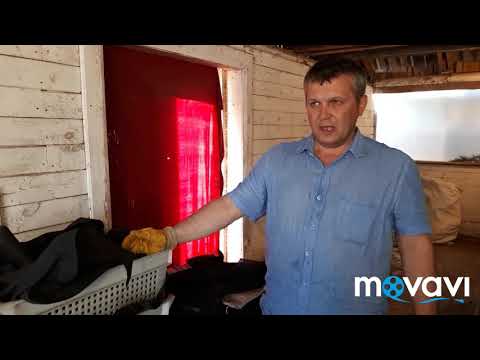 Видео: Червеводство вермикампостирование