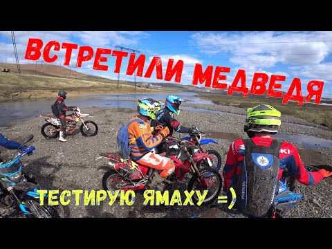 Видео: Эндурим на юг, встречаем медведя [ Avantis Enduro 250]