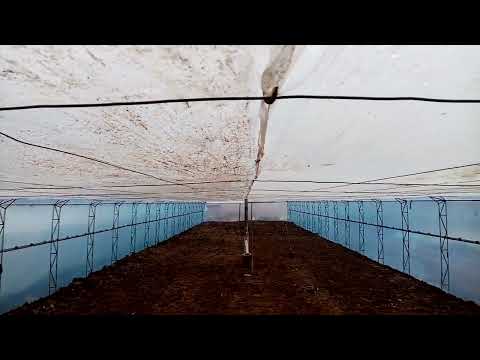 Видео: Тайёр кардани гармхона барои кучотхо 900172225