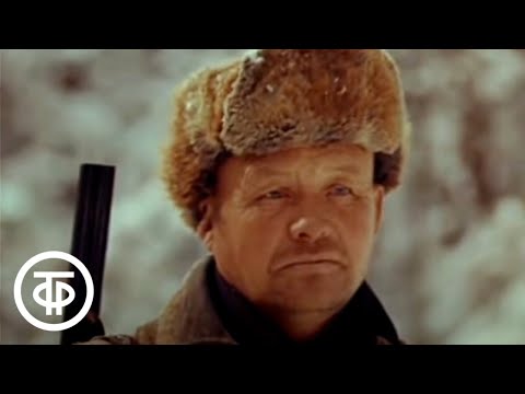 Видео: Охотничьи были. О Кабанском промышленном хозяйстве Бурятии (1981)