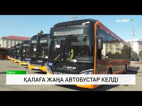 Видео: Қалаға жаңа автобустар келді