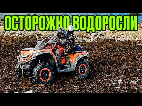 Видео: В БРОД С ШАРМАКСОМ БЕЗ ШНОРКЕЛЕЙ. НЕ ЗАЕЗЖАЙТЕ В ВОДОРОСЛИ!