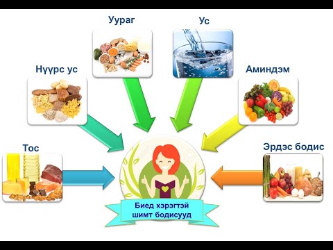 Видео: ВИДЕО ХИЧЭЭЛ №1. ЗОХИСТОЙ ХООЛЛОЛТЫН ҮНДЭС - ЭРҮҮЛ МЭНД