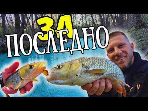 Видео: ДЕБЕЛИ ЧЕРВЕНОПЕРЕСТИ КЕФАЛИ!!! РИБОЛОВ НА РЕКА ЛУДА КАМЧИЯ!!!