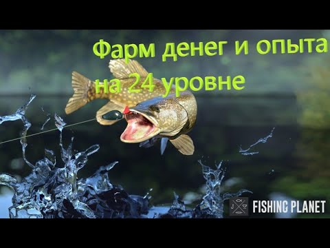 Видео: Fishing Planet фарм Денег и Опыта после 23 уровня озеро Вайт Мус