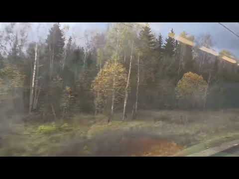 Видео: Верный. История о собачке расказанная моей свекровью.