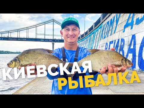 Видео: ФИДЕР в КИЕВЕ 🚀 Трудовая рыбалка 🔑 ПЛОХОЙ КЛЕВ 👉 ХОРОШИЙ УЛОВ! Пешеходный мост и ЗЛАЯ БРОВКА‼️