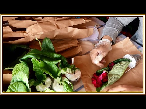 Видео: Распаковка посылки со стрептокарпусами