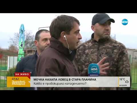 Видео: Мечка нахапа ловец в Стара планина - Здравей, България (14.11.2019)