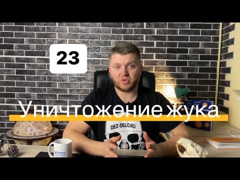 Видео: Жучки в крупе