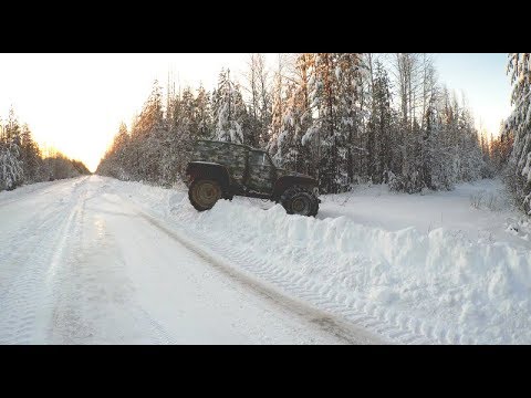 Видео: Гринписовская охота.