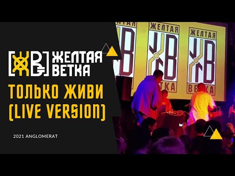 Видео: Желтая Ветка - Только Живи (2021, Anglomerat) ЖИВОЙ ЗВУК