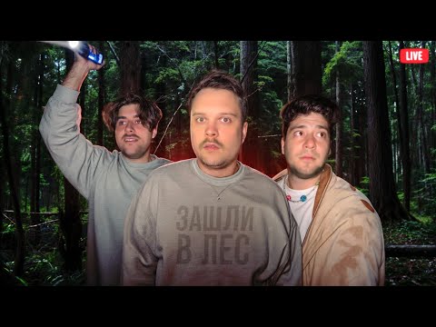 Видео: ГУАКАМОЛЕ ВСТРЕТИЛ МАНЬЯКА В ЛЕСУ (ВИНМЕНТ, РУСЛАНДВИП)