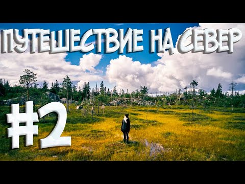 Видео: Путешествие на Север | Воттоваара | Полярный Круг | Поломка по дороге на Кольский #автопутешествие