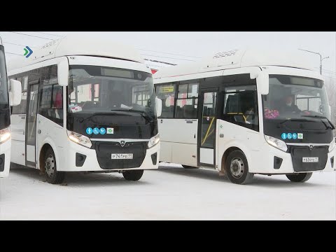 Видео: В Сыктывкаре запущены три новых автобуса