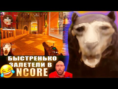 Видео: DAWG ЗАЛЕТЕЛ С ПАЦАНАМИ В NCORE ч1