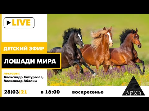 Видео: Детский эфир "Лошади мира" в рубрике "Путешествия с натуралистом" вместе с Александром Аболицем