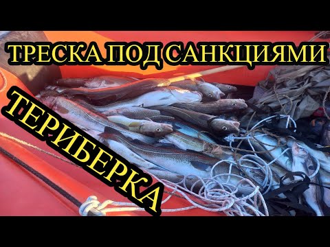 Видео: ТЕРИБЕРКА!!! ТРЕСКА ПОД САНКЦИЯМИ?! СГОРЕЛА МАШИНА!