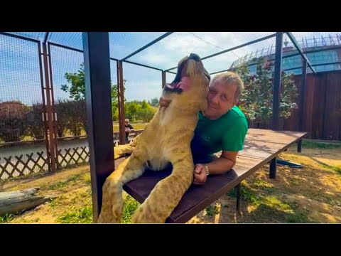 Видео: Лев Шерхан рядом с Олегом Зубковым УСПОКОИЛСЯ и научился прыгать на полки и колеса!