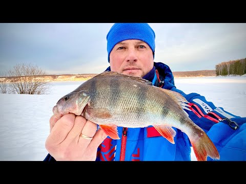 Видео: Последний лёд! Атака толстых окуней на балансир!