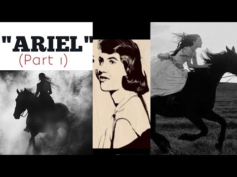 Видео: Переоценён ли роман Сильвии Плат «Ариэль»? Критический взгляд ||Как анализировать роман «Ариэль» ...