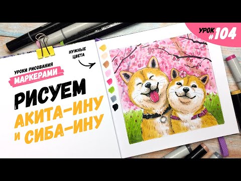 Видео: Как нарисовать акита-ину и сиба-ину? / Видео-урок по рисованию маркерами #104