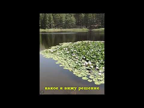 Видео: Что Такое Прокрастинация и Как Ее Победить (Видео-Гайд)