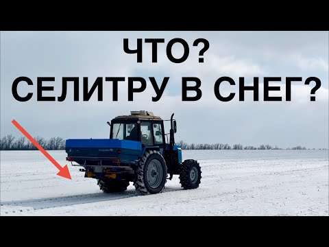Видео: Подкормка пшеницы по снегу. О чем спор?