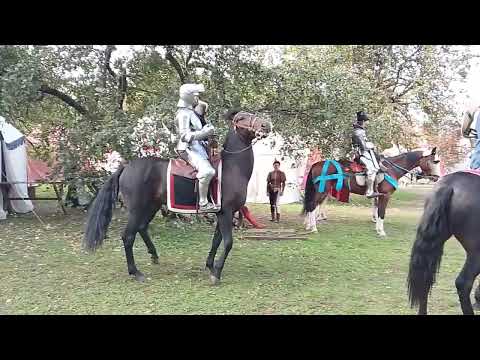 Видео: 14 сентября 2025 г.Парк Царицыно.