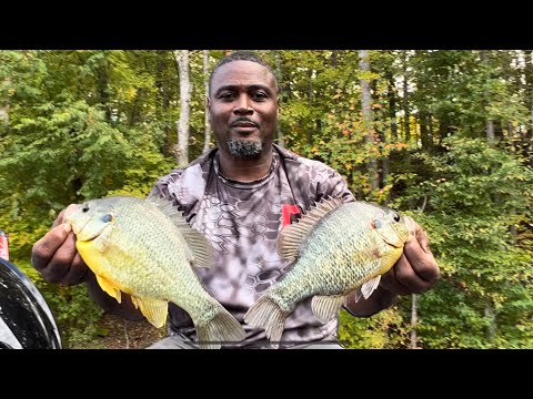 Видео: Как поймать красноухого ракушняка