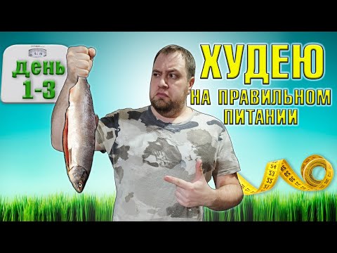 Видео: Пробую похудеть за месяц на правильном питании. День 1-3.