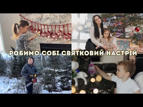 Видео: йдемо в ліс за ялинкою, прикрашаємо дім та показую покупки | святкове життя на Алясці