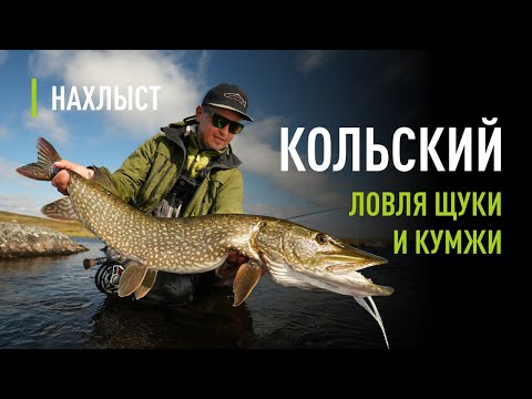 Видео: Ловля ЩУКИ и КУМЖИ на КОЛЬСКОМ. Исследование верховья р.Йоканьга, снасти и тактика ловли.