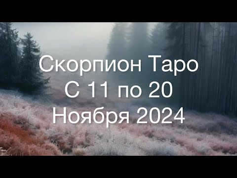 Видео: СКОРПИОН Таро с 11 по 20 Ноября 2024