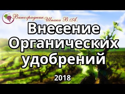 Видео: Внесение органических удобрений на винограднике