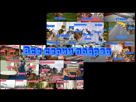 Видео: 🐱 Выживание шлёпы среди Зомби 🧟‍♂️Все сери подряд 🐱