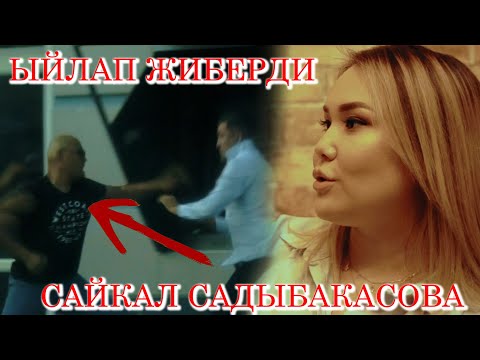 Видео: КАРМАЛДЫ САЙКАЛ САДЫБАКАСОВА ИЛМЕК ШОУГО!