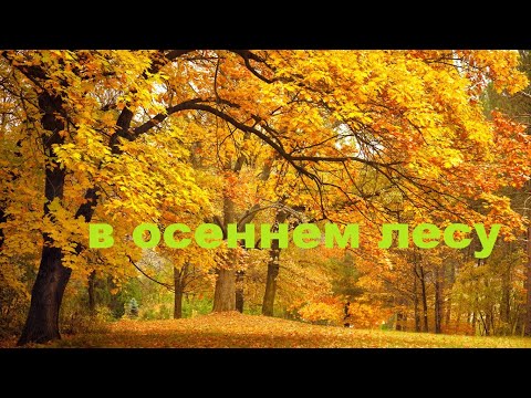 Видео: Декоративная подушка с объёмной аппликацией.(2022г)