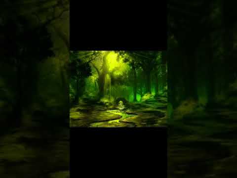 Видео: Золотой дракон