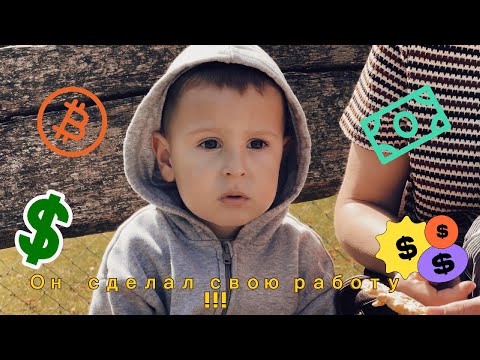 Видео: Германия.Работа сына в парке!!! Как не дорого,а главное хорошо провести время!!!