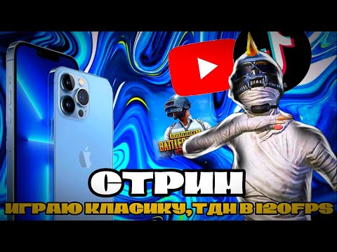 Видео: СТРИМ PUBGMOBILE| ИГРАЮ В КЛАСИКУ,ТДМ В 120FPS|iPhone 13 Pro Max