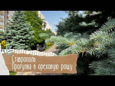Видео: Ставрополь. Юго-западный район. 🏢Прогулка из Перспективного в Ореховую рощу🌳