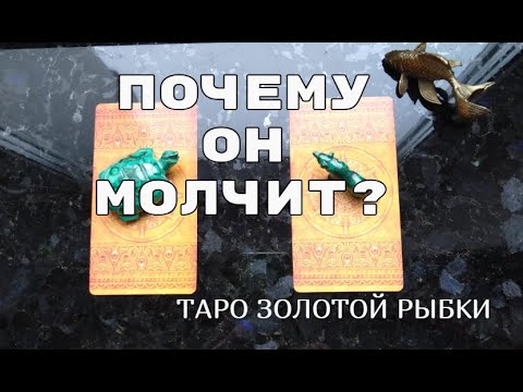 Видео: 💌ПОЧЕМУ ОН МОЛЧИТ?  ВЫЙДЕТ ЛИ НА СВЯЗЬ?💖